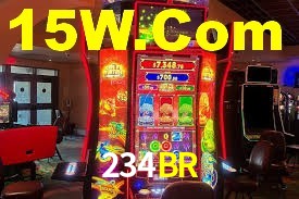 234BR App Interface